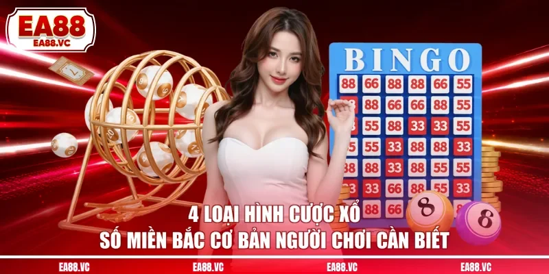 4 Loại Hình Cược Xổ Số Miền Bắc Cơ Bản Người Chơi Cần Biết