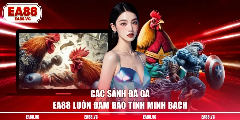 Các sảnh đá gà EA88 luôn đảm bảo tính minh bạch