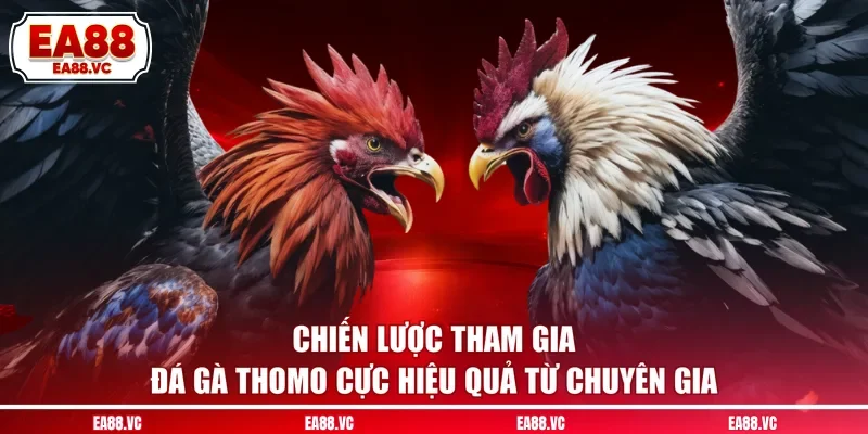 Chiến lược tham gia đá gà Thomo cực hiệu quả từ chuyên gia